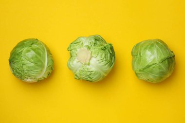 Sarı arkaplanda taze yeşil lahana, metin için boşluk