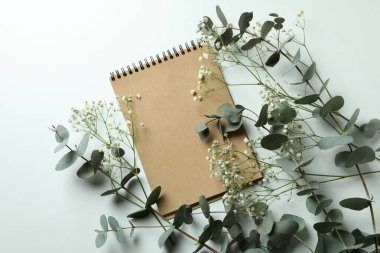 Okaliptüs, çingene ve beyaz arka planda not defteri.