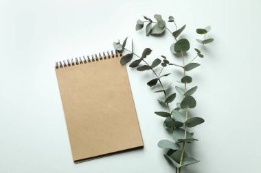 Beyaz arkaplanda defter ve okaliptüs dalları