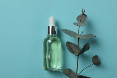 Mavi arka planda bir şişe yağ ve okaliptüs dalı.