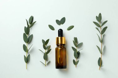 Kahverengi okaliptüs yağı şişesi ve beyaz arka planda dallar