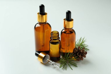 Bottles of pine oil and pine twigs on white background
