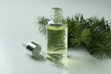 Beyaz arka planda bir şişe çam yağı ve dal.