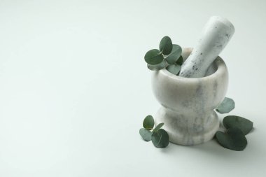 Beyaz arka planda okaliptüs dalı olan havan topu