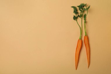 Bej arka planda taze havuç yarıları