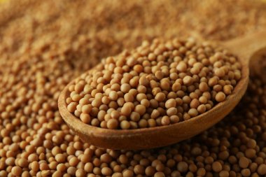 Tahta kaşık ve hardal tohumları, yaklaşın.