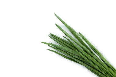 Beyaz arkaplanda taze yeşil soğan izole edildi