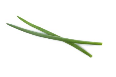 Beyaz arkaplanda taze yeşil soğan izole edildi