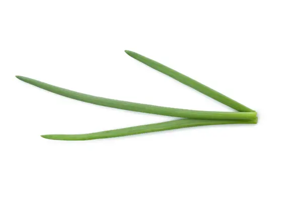 Fresh Green Onion Isolated White Background — Stock Photo, Image