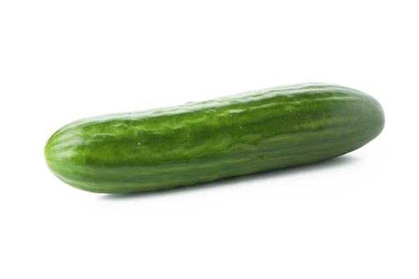 Fresh Ripe Cucumber Isolated White Background — Stock Photo, Image
