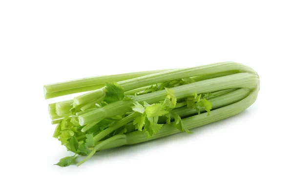 Verse Groene Selderij Geïsoleerd Witte Achtergrond — Stockfoto