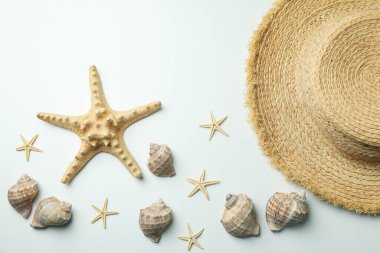 Hasır şapka ve beyaz arka planda deniz kabukları