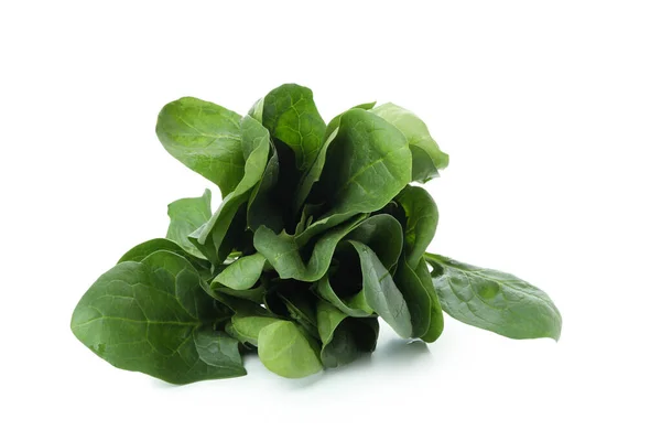 Raw Fresh Spinach Isolated White Background — Stock Photo, Image