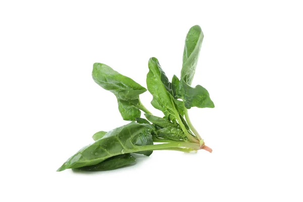 Raw Fresh Spinach Isolated White Background — Stock Photo, Image