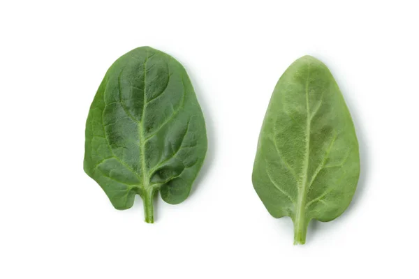 Fresh Spinach Leaves Isolated White Background — Stock Photo, Image