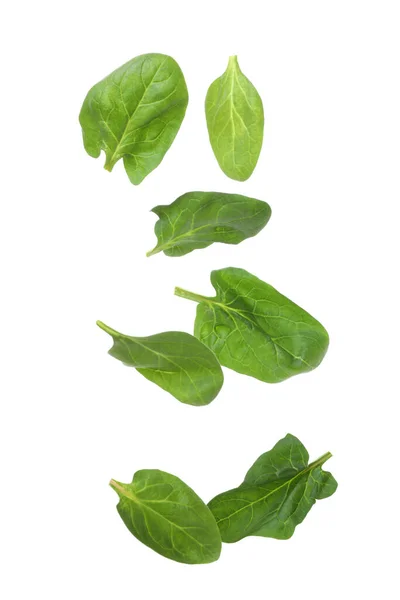 Fresh Spinach Leaves Isolated White Background — Stock Photo, Image