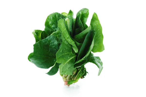 Raw Fresh Spinach Isolated White Background — Stock Photo, Image