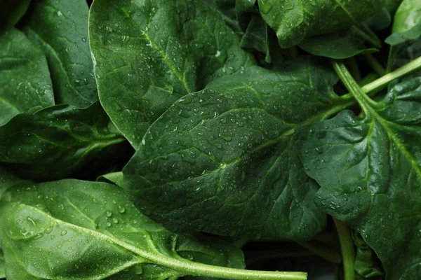 Arka planda su damlaları olan taze ıspanak.