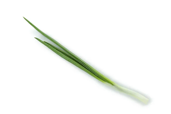 Cebola Verde Fresca Isolada Sobre Fundo Branco — Fotografia de Stock