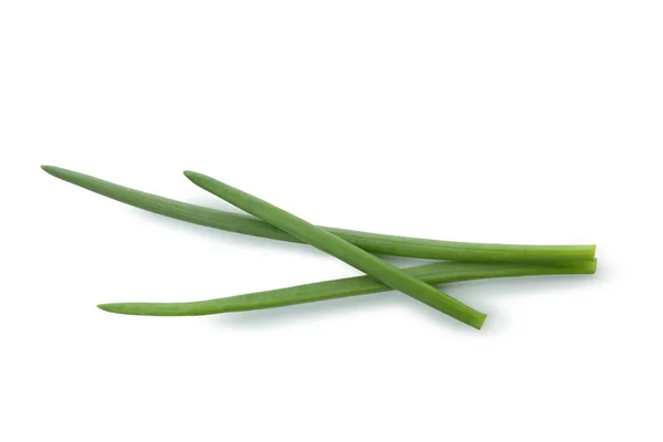 Fresh Green Onion Isolated White Background — Stock Photo, Image