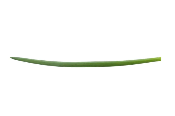 Cebola Verde Fresca Isolada Sobre Fundo Branco — Fotografia de Stock