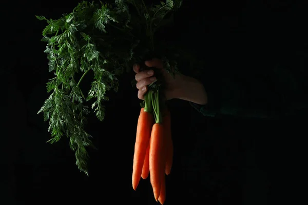 Mano Femenina Sostiene Zanahoria Fresca Sobre Fondo Oscuro —  Fotos de Stock