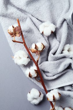 Gri arka planda pamuk bitkisi dalı ve havlu