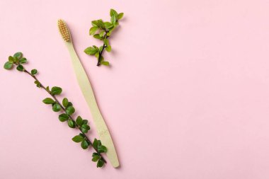 Pembe arka planda çevre dostu diş fırçası ve dalları
