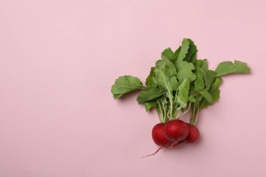 Pembe arkaplanda taze turp, metin için boşluk