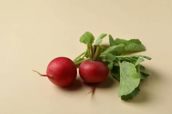 Fresh Radish Beige Background Close — Stock Photo, Image