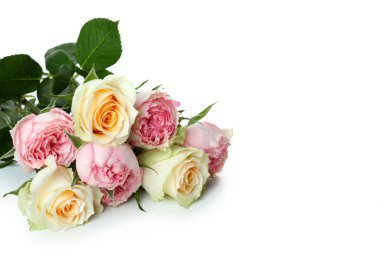 Beyaz arka planda izole güzel güller