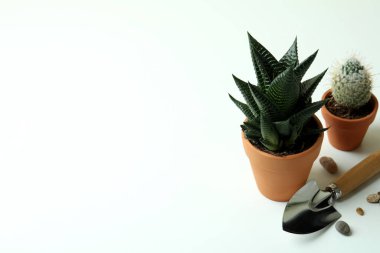 Beyaz masadaki bahçıvanlık kavramı, metin için boşluk