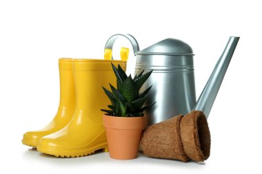 Beyaz arka planda izole edilmiş farklı bahçe aksesuarları