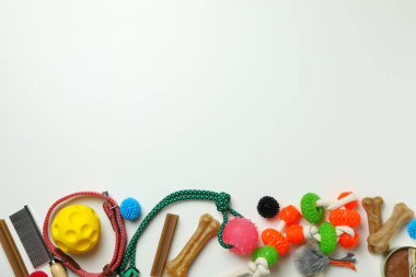 Beyaz arkaplanda evcil hayvan aksesuarları, metin için boşluk