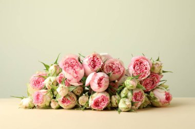 Bej arkaplanda güzel güller, metin için boşluk