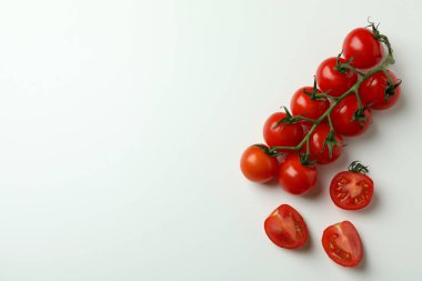 Beyaz arka planda izole edilmiş hindistan cevizi saksıları