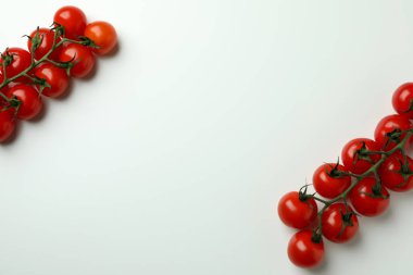 Beyaz arka planda izole edilmiş hindistan cevizi saksıları