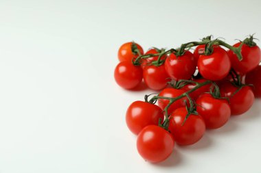 Beyaz arka planda izole edilmiş hindistan cevizi saksıları