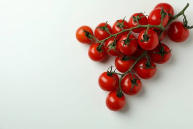 Beyaz arka planda izole edilmiş hindistan cevizi saksıları