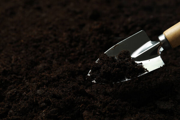 Shovel for gardening on soil background, space for text