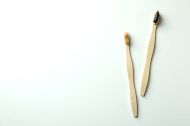 Beyaz arka planda izole edilmiş hindistan cevizi saksıları