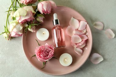 Beyaz arka planda izole edilmiş hindistan cevizi saksıları