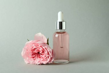 Beyaz arka planda izole edilmiş hindistan cevizi saksıları