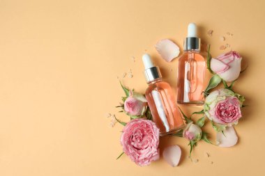 Beyaz arka planda izole edilmiş hindistan cevizi saksıları