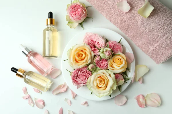 Beyaz arka planda izole edilmiş hindistan cevizi saksıları