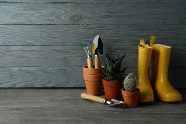 Gri ahşap arka planda bahçe işleri için araçlar
