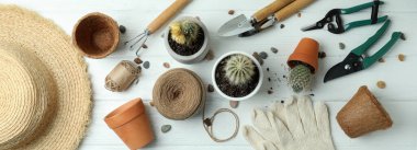 Beyaz ahşap arka planda bahçıvanlık kavramı