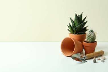 Beyaz masadaki bahçıvanlık kavramı, metin için boşluk