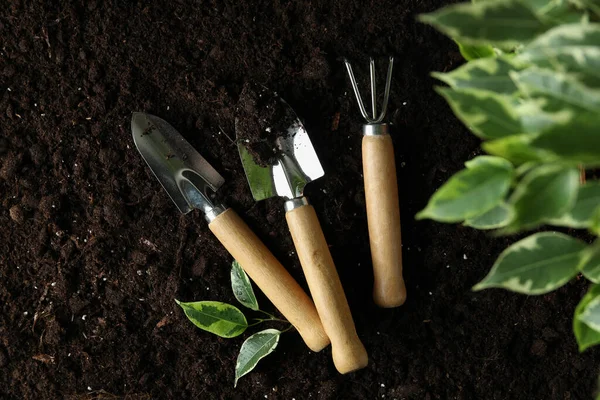 Begreppet Trädgårdsskötsel Jord Bakgrund Ovanifrån — Stockfoto