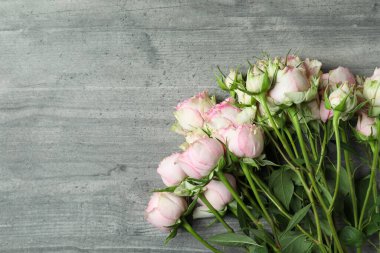 Gri desenli arka planda güzel gül çiçekleri